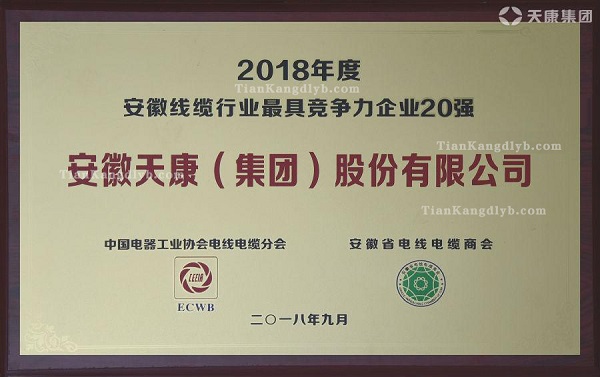 最具競爭力榮譽證書