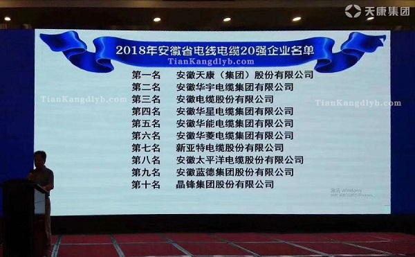 獲獎排名表